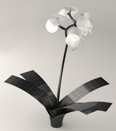 vivien muller: orkys and photonsynthesis