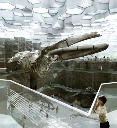BIG architects: natural history museum proposal