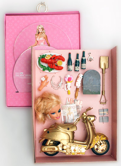 concept DVD packaging for real housewives of orange county