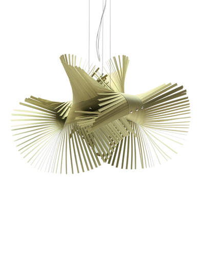 miguel herranz: the ordered chaos