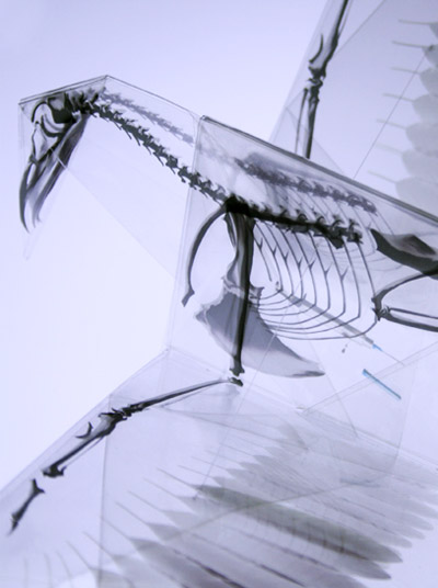 takayuki hori: oritsunagumono