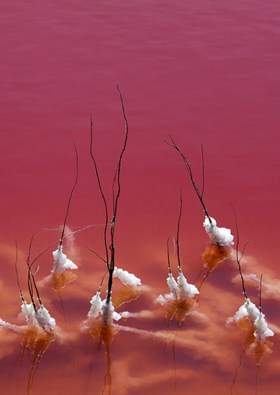 lake in camargue, france, turns blood red