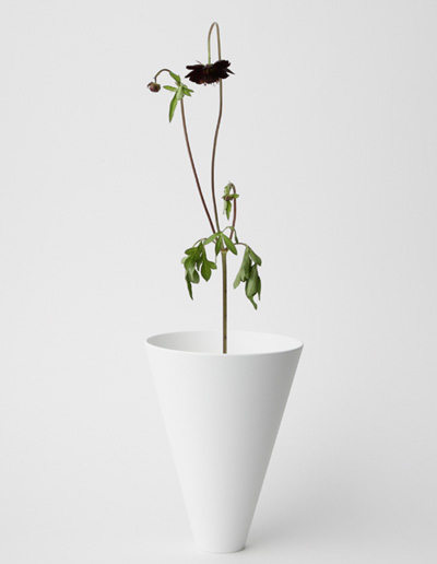 pinto   hikima takanori and suzuki masayoshi