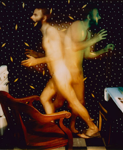 polaroid auctions collection