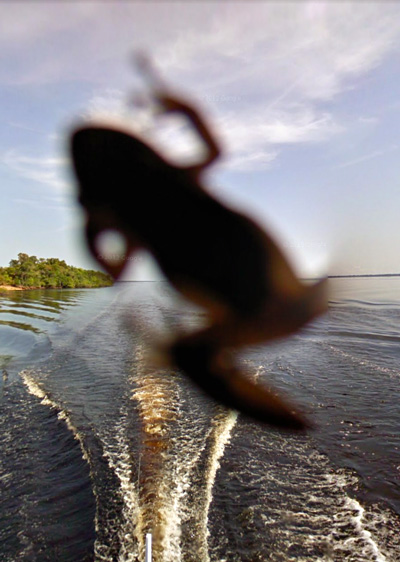 rainforest google street view