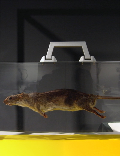 atelier ted noten: seven necessities at designmiami/ basel 2012