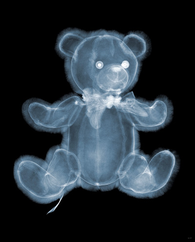 nick veasey: x ray photography