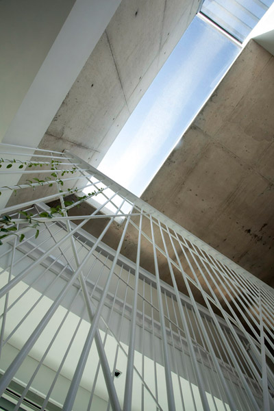 ALT arquitectura: roncero house