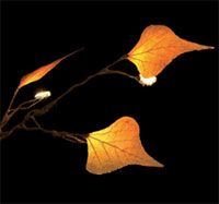 prostheses by tomer sapir