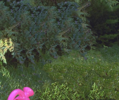 sex pictures minus the sex