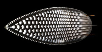 cardboard surfboard by mike sheldrake