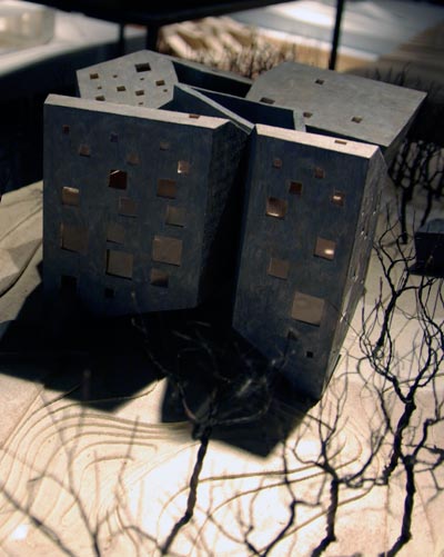 venice architecture biennale 08: next gene 20   shu chang kung