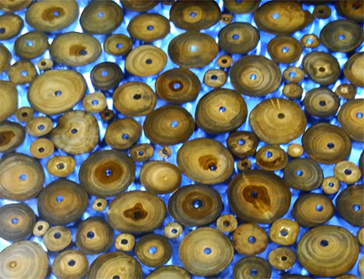 treecycled furniture by pt. epos modern indonesia