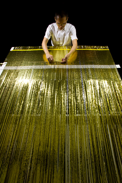 lanzavecchia + wai: space quilt   one day in the life of V.M. on earth