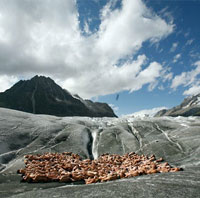 spencer tunick and greenpeace