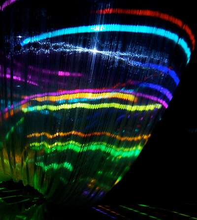 canon neoreal 2012   in the forest