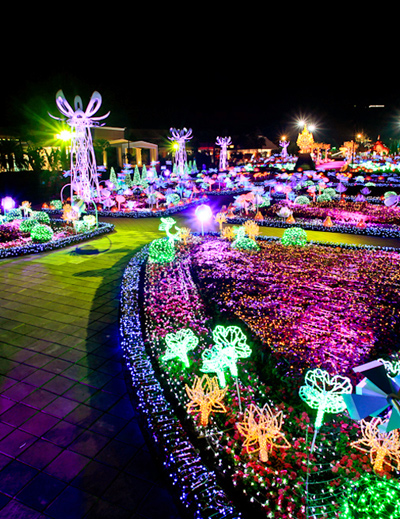 apostrophy's: imagination light garden