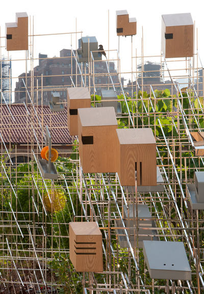 sarah sze: still life with landscape at the high line