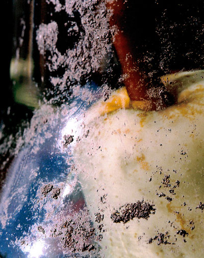 tacita dean: 'still life' exhibition in milan