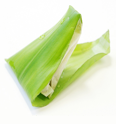 'real green teabag' by hyung gyun jung + il seop so + han bi jung + jae young heo   iida awards 2010