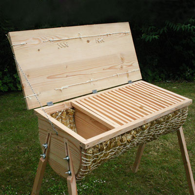 tom back: thrive hive