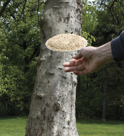 andrea ruggiero and bengt brummer: 'UFO' mono use disposable plate