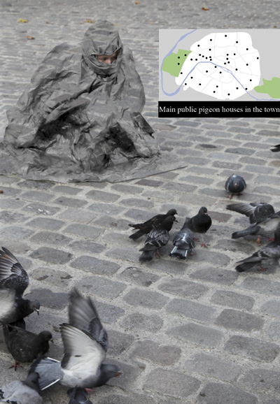 5.5 designers: 'guide to free farming' project