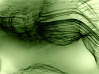 wolfgang tillmans retrospective