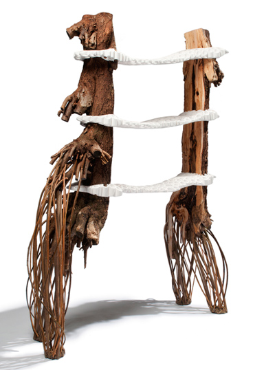 floris wubben: tree fungus shelf