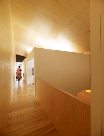 tribe studio: house milner schmukler