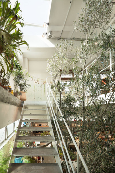 schemata architecture office: today's special jiyugaoka