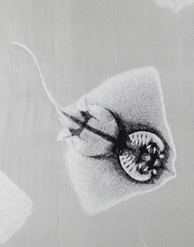 ultraviolet   3D woven japanese textiles by hosoo