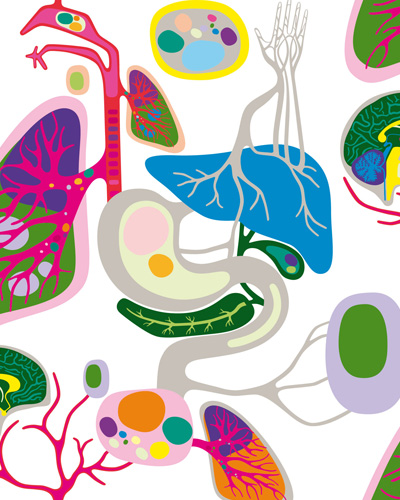 stockholm design lab: vardapoteket identity scheme