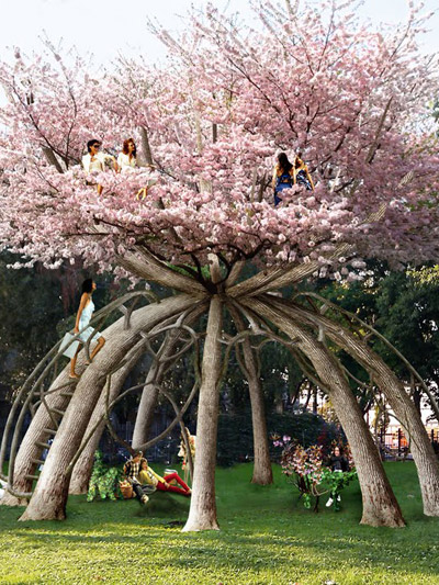 visiondivision: the patient gardener