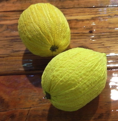 scholten and baijings vegetables