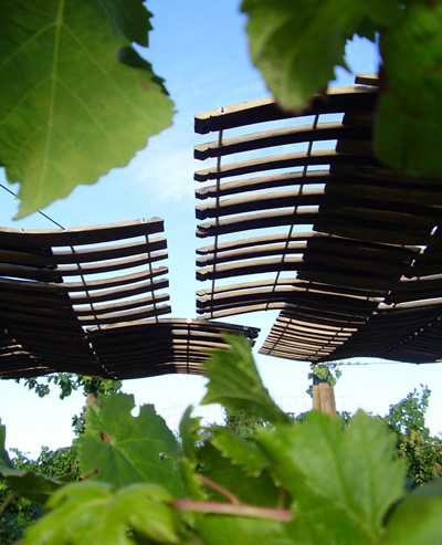 'place of rest' talca, chile by macarena avila burdiles