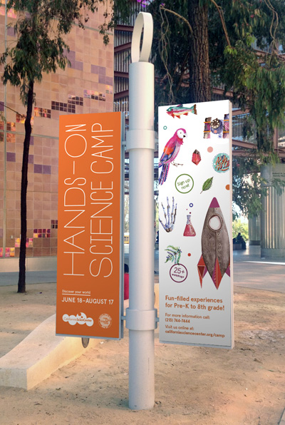 vanessa lam interview and recent work