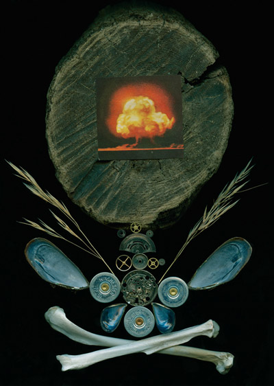 sean vranizan: scanner art