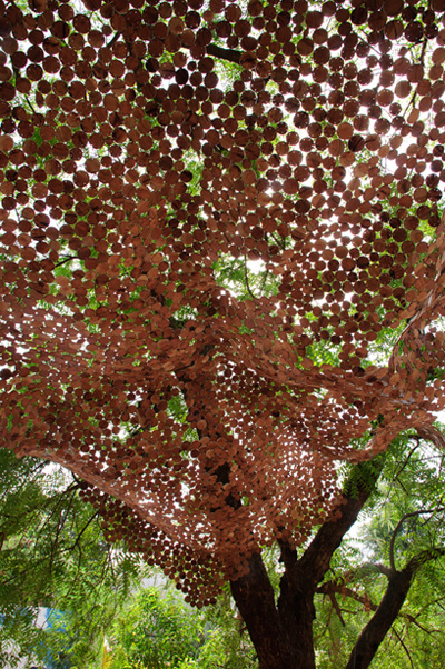 wooden foliage by andblack studio + rooshadSHROFF