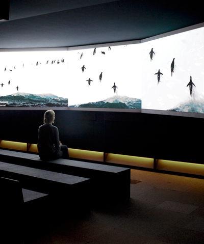 universal design studio: wildlife photographer of the year exhibition design