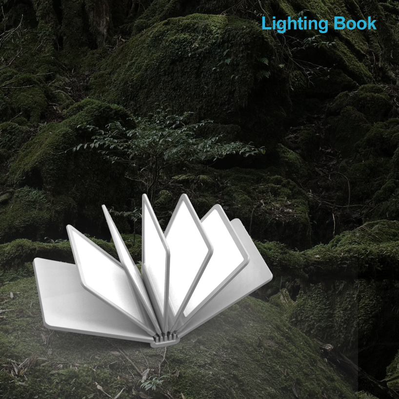 lighting book