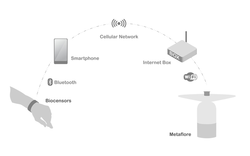 metaflore - 4