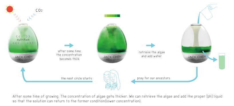 algae urn - 2