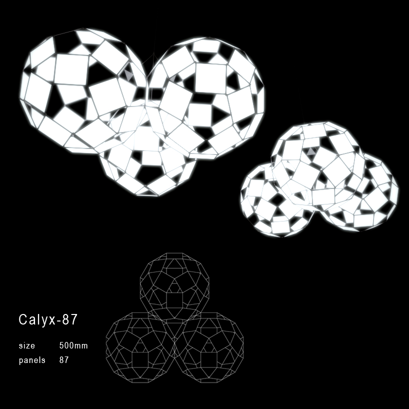 calyx - 3