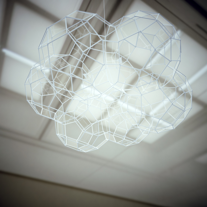 calyx - 4