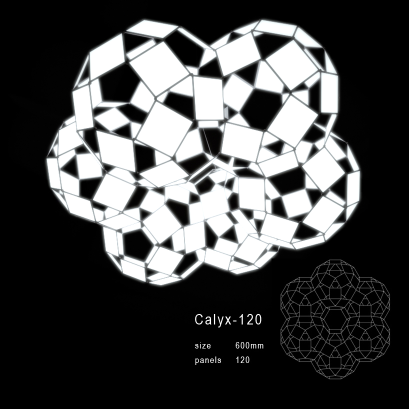 calyx - 5