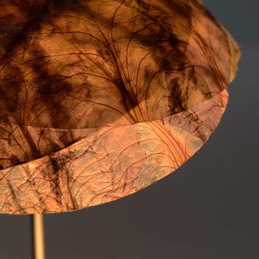 nir-meiri-vaiehi-thakkar-veggie-lights-cabbage-london-design-festival-09-16-2019-designboom