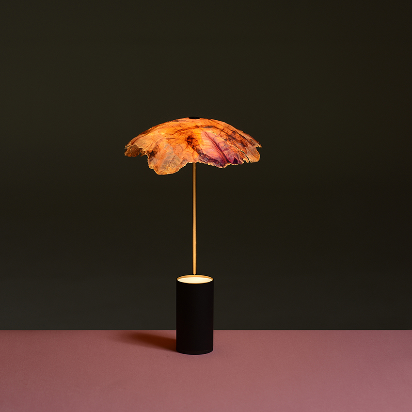 nir-meiri-vaiehi-thakkar-veggie-lights-cabbage-london-design-festival-09-16-2019-designboom