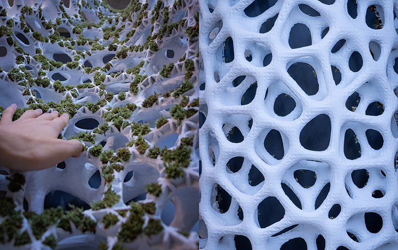 yong ju lee embeds plant life into architecture with 'moss tower' prototype designboom