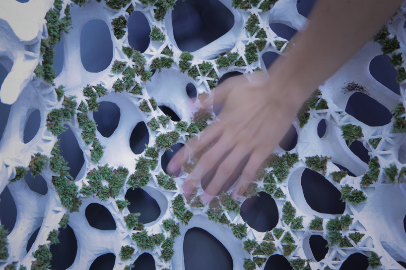 yong ju lee embeds plant life into architecture with 'moss tower' prototype designboom